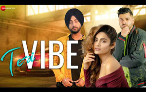 Punjabi Song Teri Vibe By Manveer Singh ft. Sakshi Dwivedi