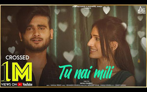 Punjabi Song Tu Nai Mili By Rahul Baweja 