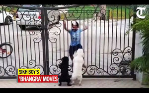 Viral - Dogs React to Kid's Bhangra Moves