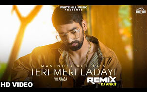 Punjabi Song Teri Meri Ladayi (Remix) By Maninder Buttar, Akasa ft. Tania