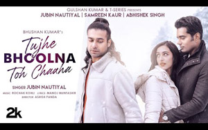 Tujhe Bhoolna Toh Chaaha Song by Rochak K ft Jubin N