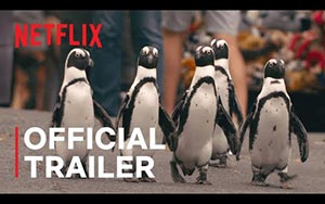 Penguin Town - Trailer - Netflix