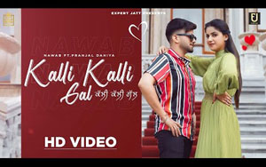 Punjabi Song Kalli Kalli Gal By Nawab ft. Pranjal Dahiya