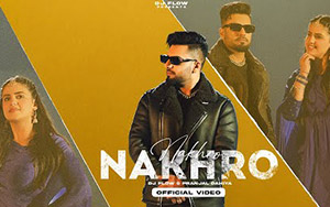 Punjabi Song  Nakhrao By DJ Flowa\