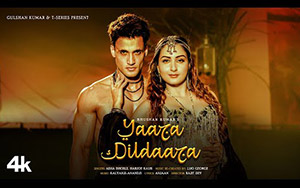 YAARA DILDAARA Song - Asim Riaz, Zaara Yesmin 