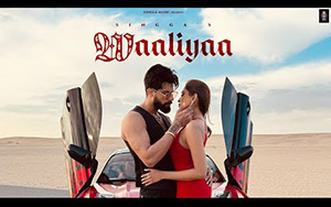 Punjabi Song Waaliya By Singaaa - Story Version ft. Sushmitha Kotian