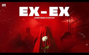 EX-EX By Shree Brar Ft. DJ Flow