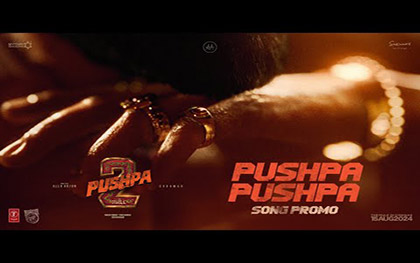 PUSHPA PUSHPA Song Promo - Pushpa 2 The Rule