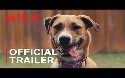 Inside the Mind of a Dog Trailer - Netflix