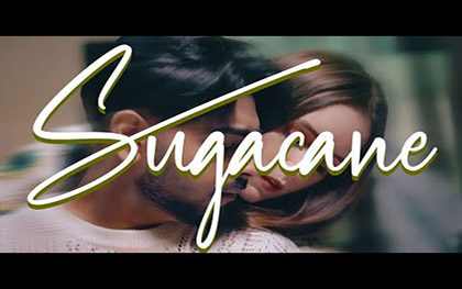 Punjabi Song Sugacane By Karan Sehmbi