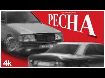 Punjabi Song PECHA (Official Video) By Wazir Patar