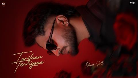 Punjabi Song Tarifaan Terriyaaa Visualizer - Jassie Gill, Geet Goraaya