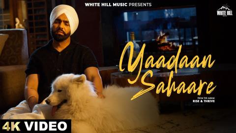 Punjabi Song Yaadan Sahaare - Ammy Virk Ft. Drishhty Talwar