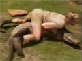 Crocodile Hunter`s Shame