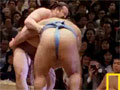 Sumo - Battle of Giants