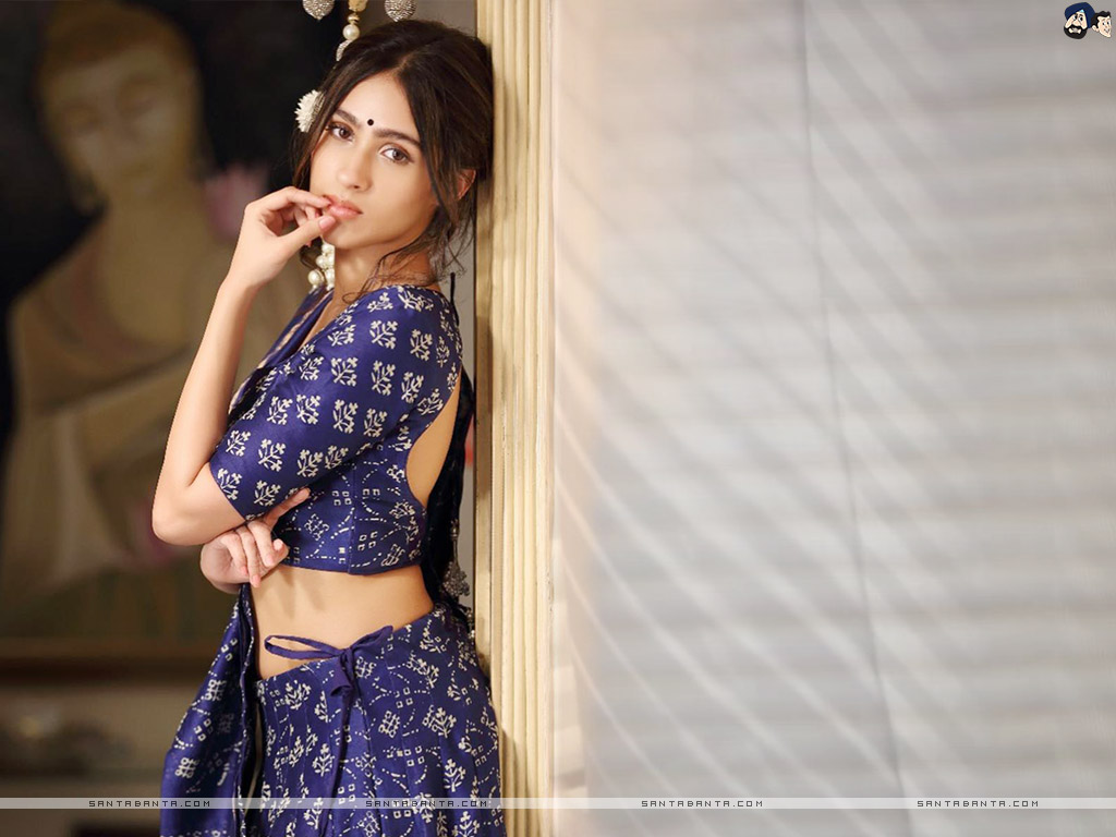 SantaBanta Wallpapers Pashmina Roshan