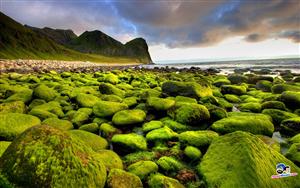 Landscapes