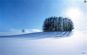 Snow