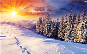 Sunrise
