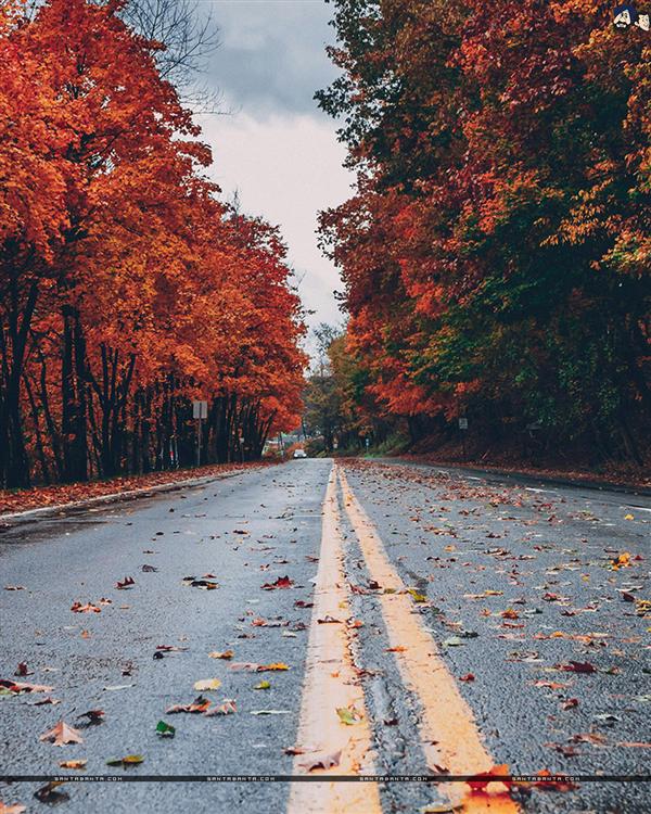 Roads