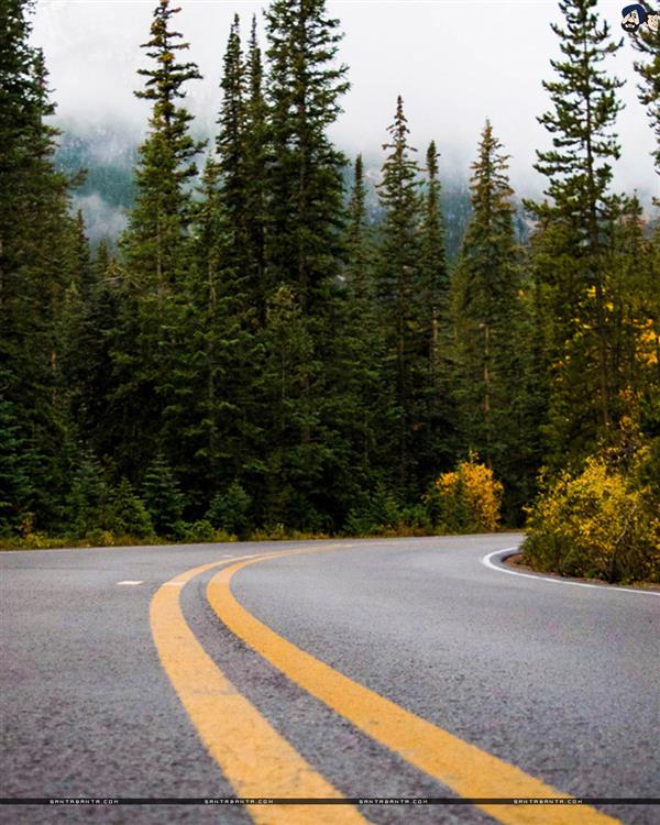 Roads